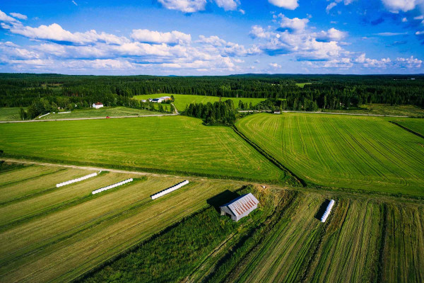 Segregar Fincas · Topógrafos Servicios Topográficos y Geomáticos Ráfol de Almunia